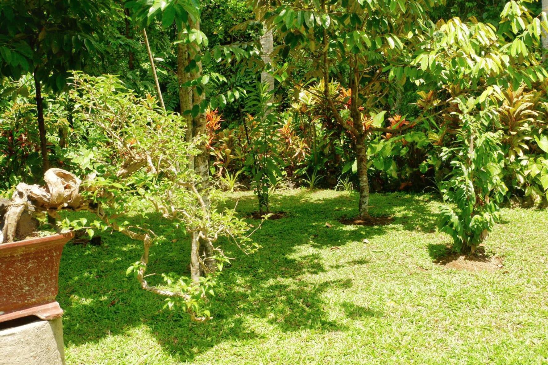 Artja Inn Ubud Zewnętrze zdjęcie